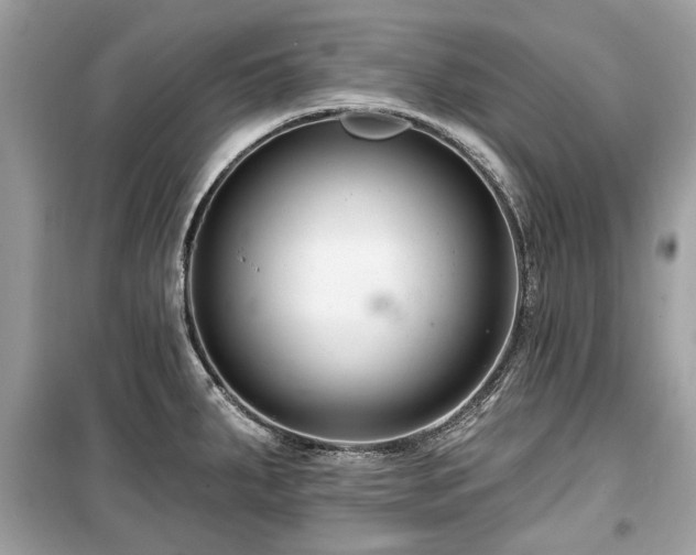 X0000099561287200805161443