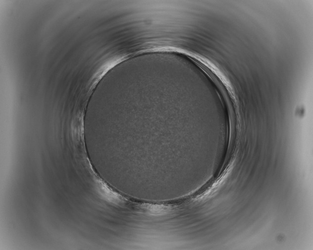 X0000099561289200805161443