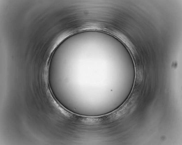 X0000099561290200805161443