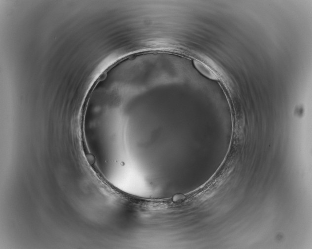 X0000099561291200805161443