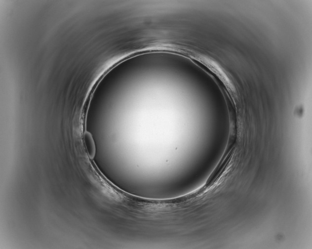 X0000099561292200805161443