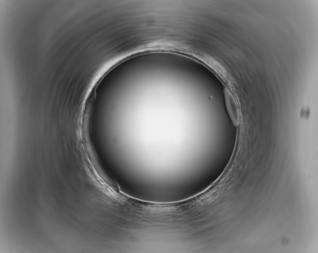X0000099561296200805161443