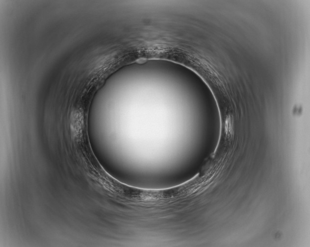 X0000099561299200805161442