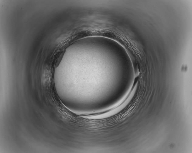 X0000099561300200805161442