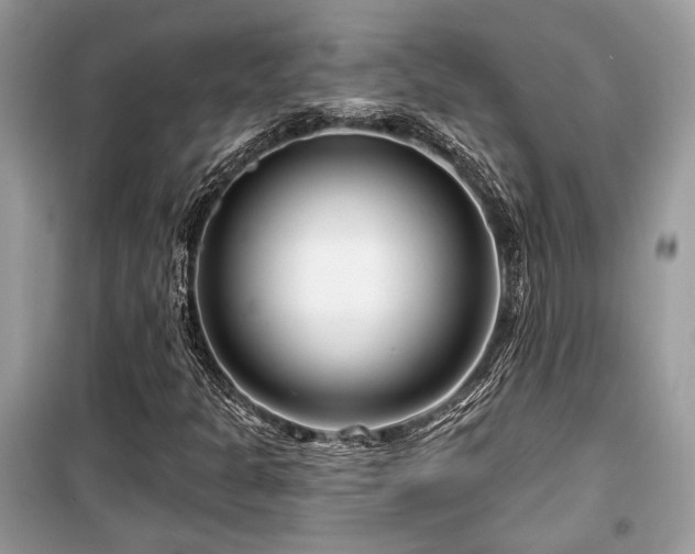 X0000099561301200805161442