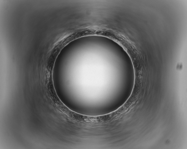 X0000099561302200805161442