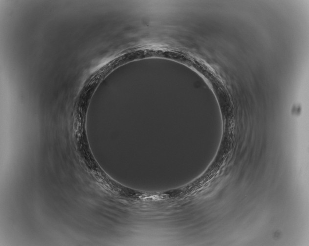 X0000099561303200805161442