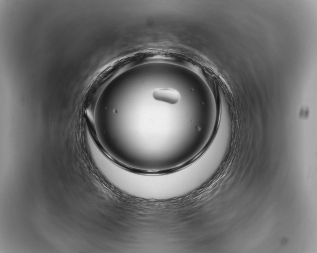X0000099561304200805161442