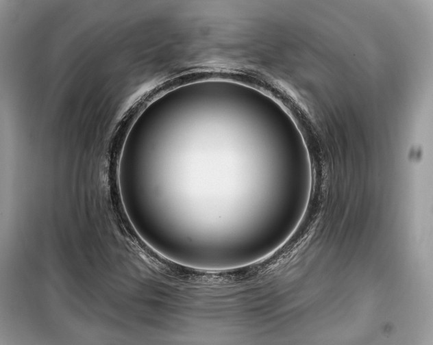 X0000099561307200805161442