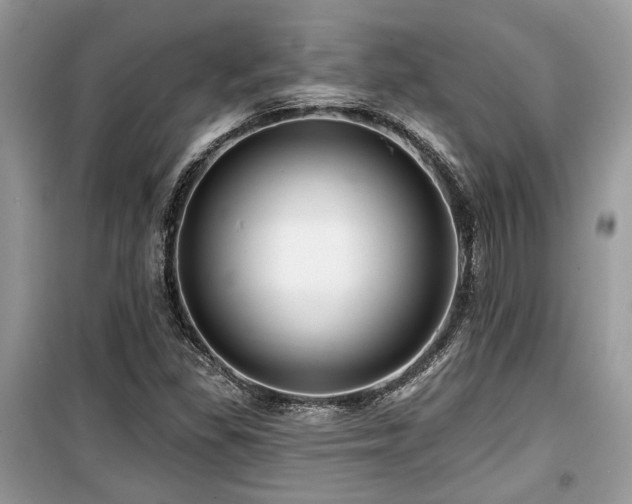 X0000099561309200805161442