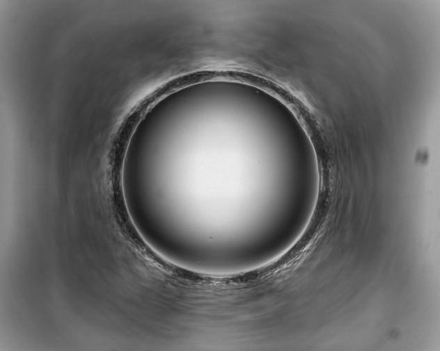 X0000099561311200805161442