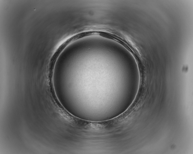 X0000099561312200805161442