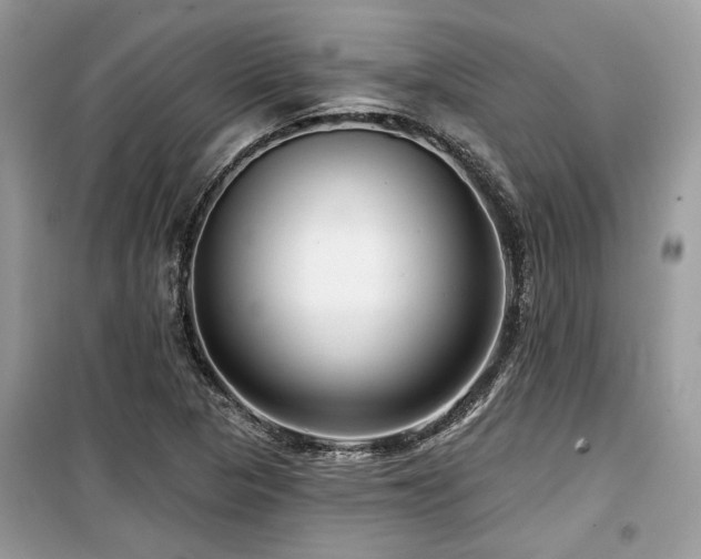 X0000099561313200805161442