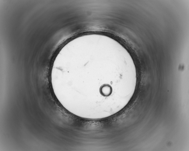 X0000099561314200805161442