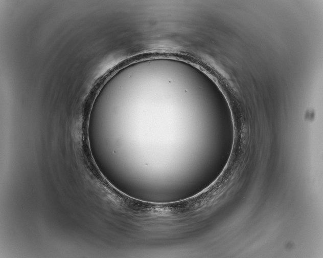 X0000099561315200805161442