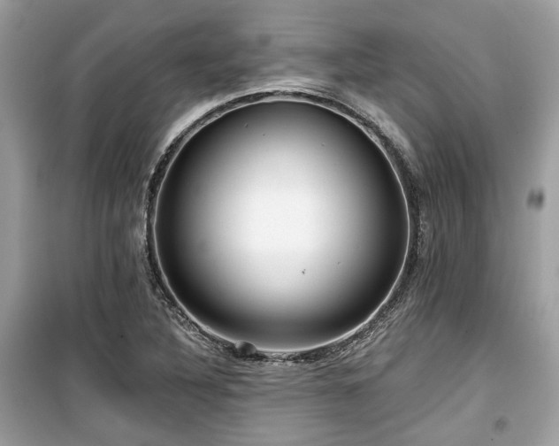 X0000099561316200805161442