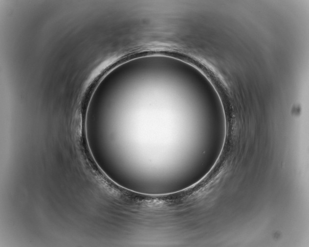 X0000099561317200805161442