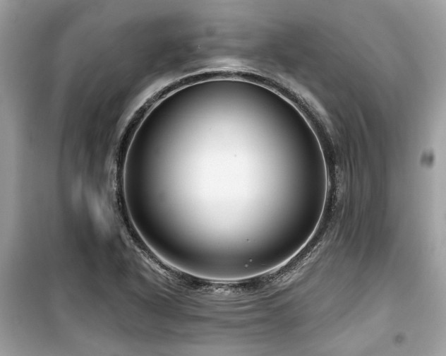 X0000099561318200805161442