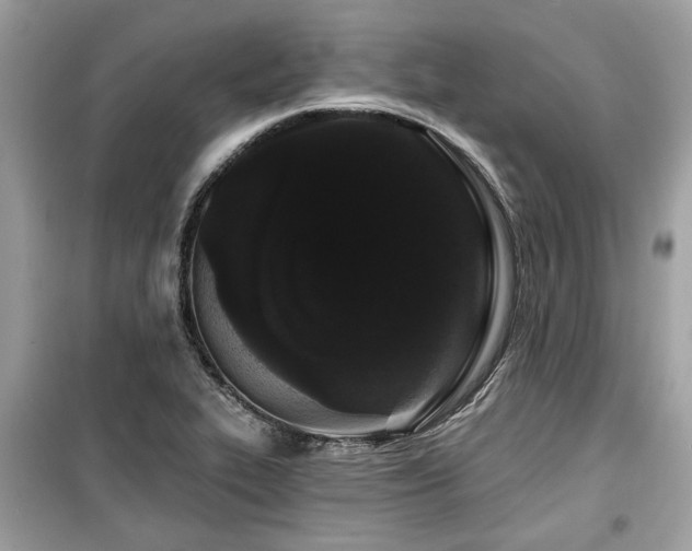 X0000099561319200805161442