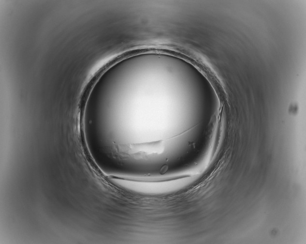 X0000099561320200805161442