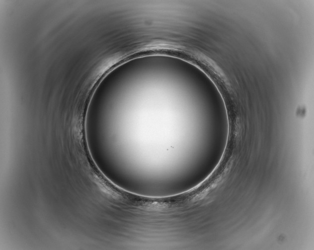 X0000099561321200805161442