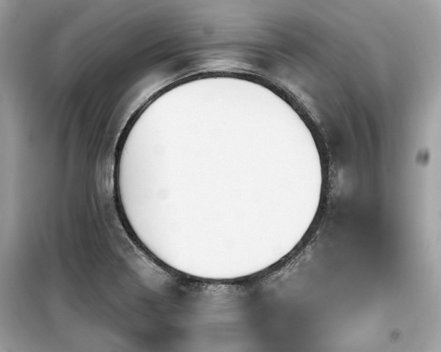 X0000099561322200805161442