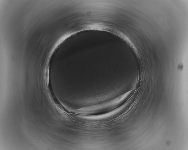 X0000099561323200805161442