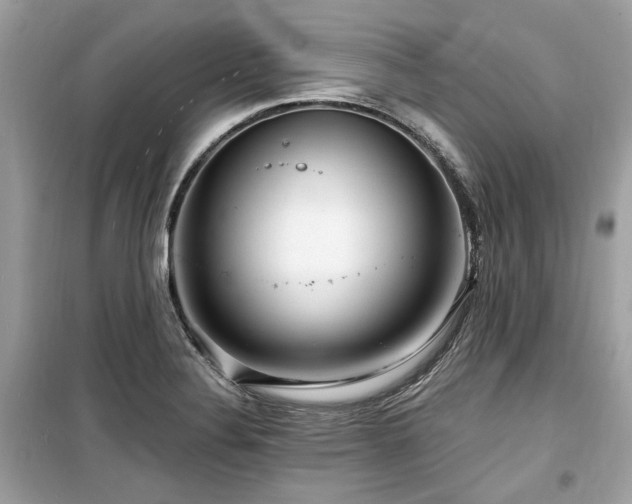 X0000099561324200805161442