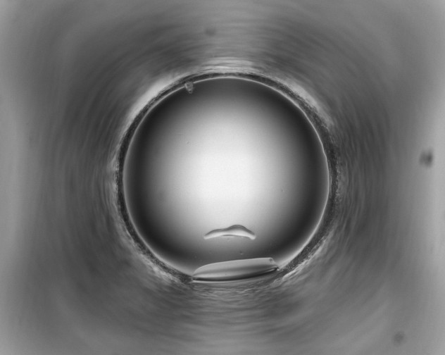 X0000099561325200805161442