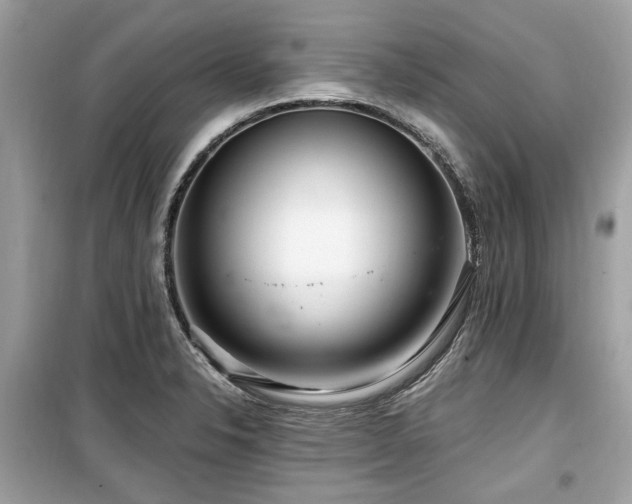 X0000099561326200805161442