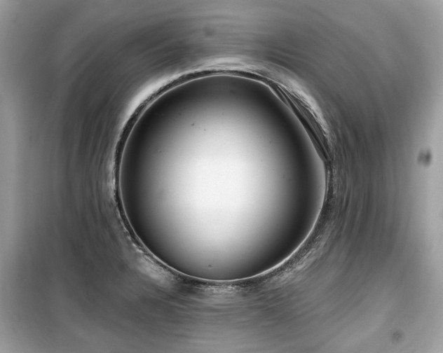 X0000099561328200805161442