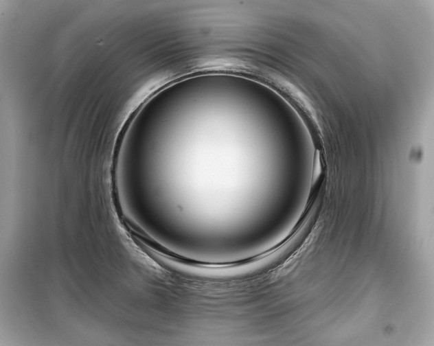 X0000099561330200805161442