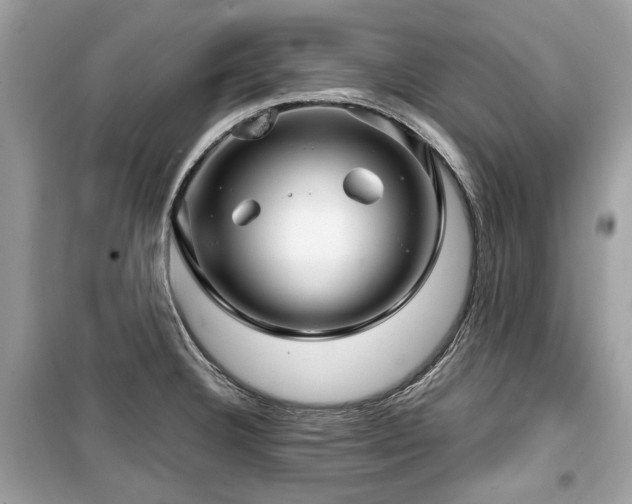 X0000099561332200805161442
