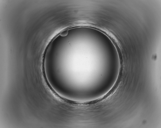 X0000099561333200805161442