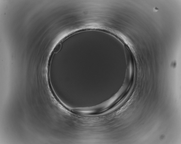 X0000099561334200805161442