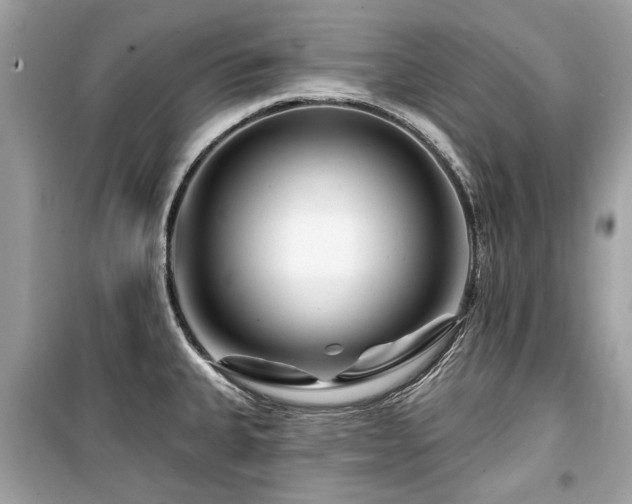 X0000099561335200805161442