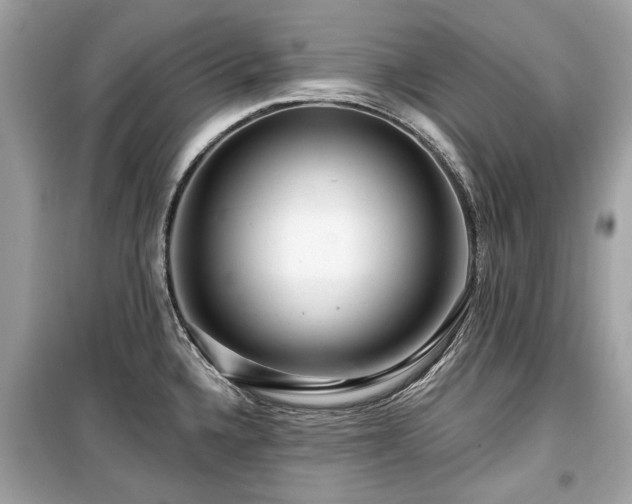 X0000099561336200805161442