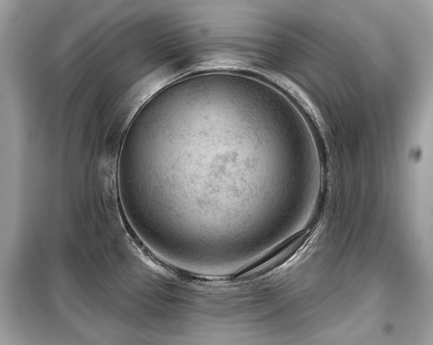 X0000099561337200805161442