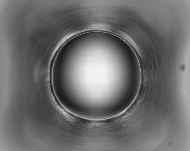 X0000099561339200805161442