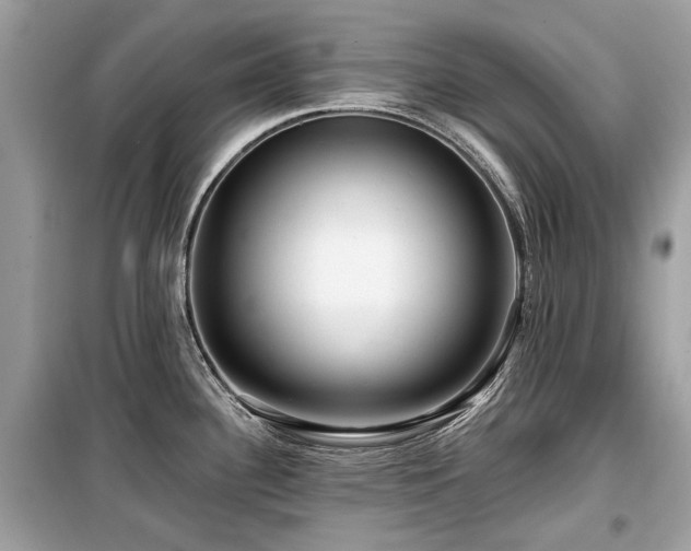X0000099561340200805161442