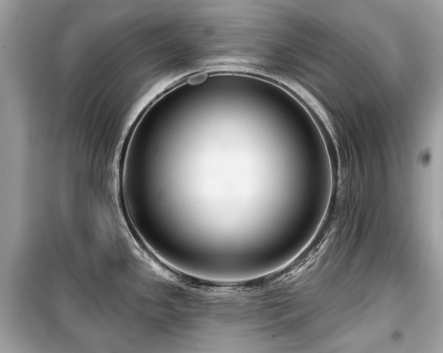 X0000099561341200805161442