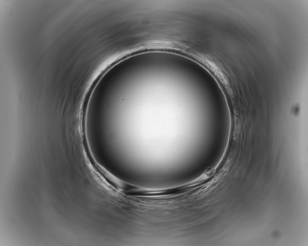 X0000099561342200805161443