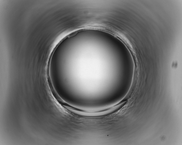 X0000099561344200805161443