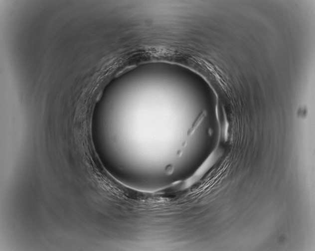 X0000099561345200805161442