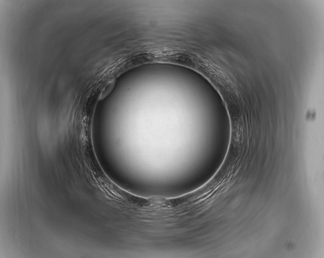 X0000099561346200805161442