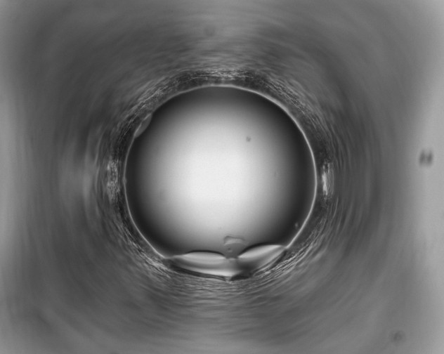 X0000099561347200805161442
