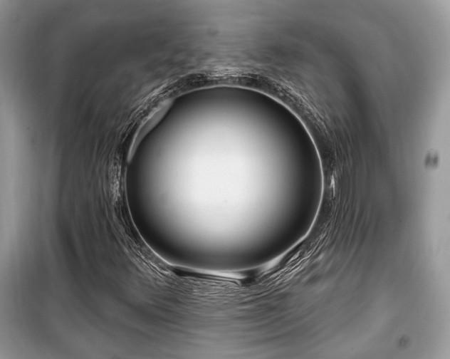 X0000099561348200805161442