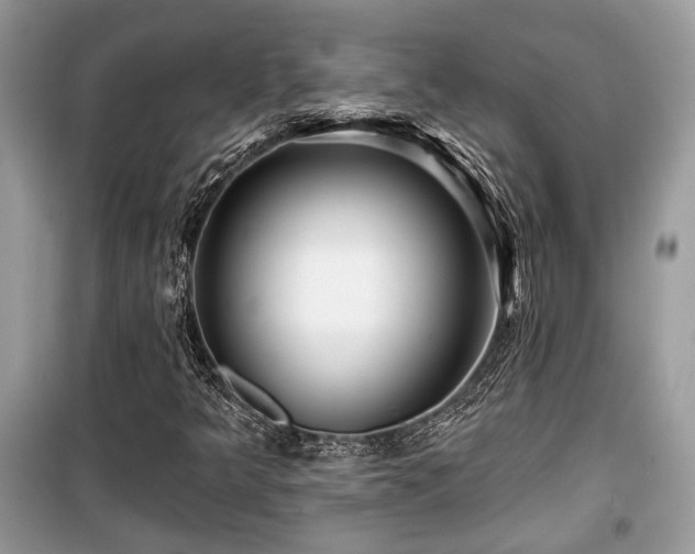 X0000099561349200805161442