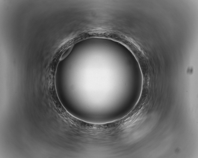 X0000099561350200805161442