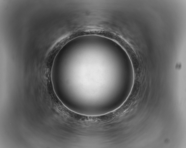 X0000099561351200805161442